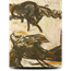 Gato y Paloma, 12×9″
