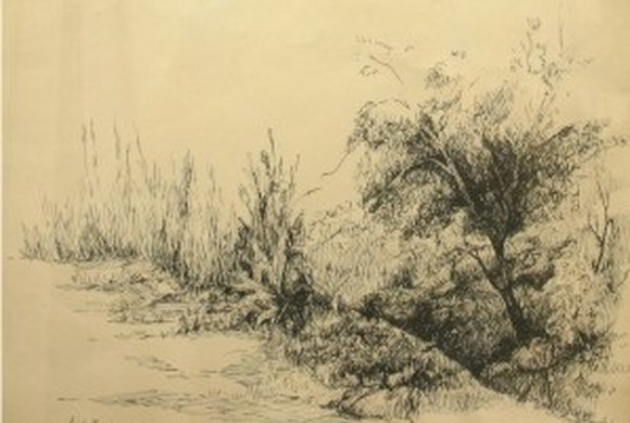 Paisaje Paisaje
