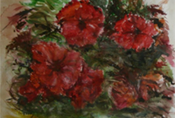 Amapolas Rojas Amapolas Rojas