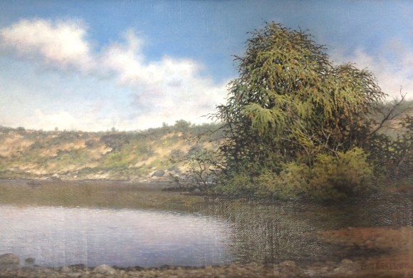 Paisaje a Orillas del Lago