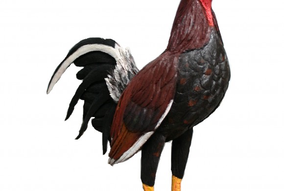 Gallo