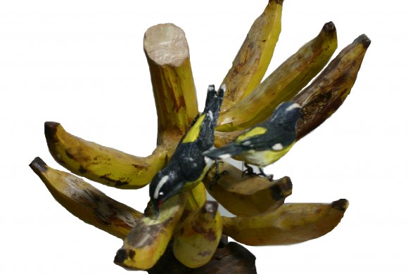 Reinitas