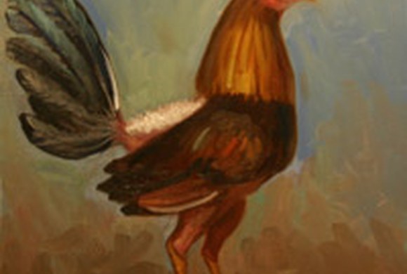 Mi Gallo de Pelea Mi Gallo de Pelea