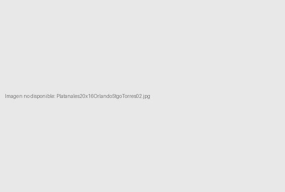Platanales