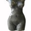 Perfil Desnudo